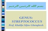Lecture 3 Streptococcus pyogenes