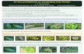 Whitefly Diseases