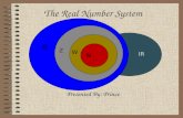 Real numbers system