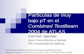 Presentacion Bienal Española de Física 2005  "Combined TestBeam a muy bajo pt"