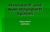 Hausdorff and Non-Hausdorff Spaces