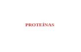 04 proteinas