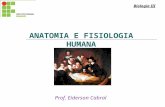 Introdução à Anatomia e Fisiologia Humana
