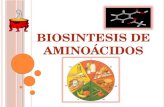 Biosintesis d emainoacidos