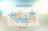 Egg project  from PGU Unna