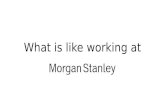 Morgan Stanley - Cornell University