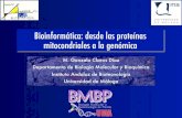 Bioinformática: desde las proteínas mitocondriales a la genómica