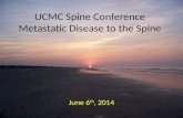 Lecture spine metastatic_prostate 2014 june