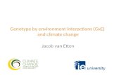 Genotype by environment interactions (GxE) - Van Etten