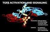 Tgfβ activation and signaling