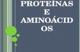 Proteínas e aminoácidos Bioquimica 1 - Nutrição