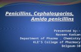 Penicillins, cephalosporins, amido penicillins