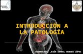 Introduccion a la patologia (Jesus Borges)