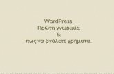 WordPress and Business Models