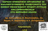 Εδραίοι επιβιωτικοί οργανισμοί σε καλλιεργούμενους πληθυσμούς του κοινού μεσογειακού μυδιού Mytilus