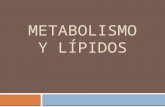 Metabolismo y lípidos