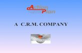 Action plan   crm