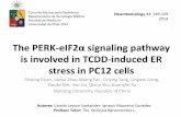 The perk e if2α signaling pathway