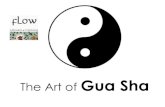 Η τέχνη του Gua Sha