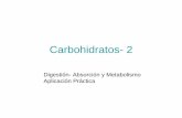 Carbohidratos 2