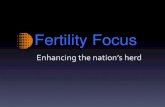 Fertility Focus: Enhancing The Nations Herd