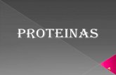 Proyecto de proteinas :D