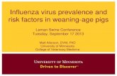 Matt Allerson - Swine influenza virus prevalence and risk factors in weaning-age pigs