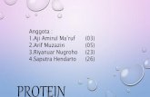 Presentasi Protein