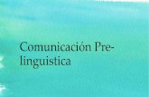Comunicación pre linguistica
