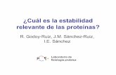 ¿Cuál es la estabilidad relevante de las proteínas?