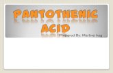 Pantothenic acid (Vitamin B16)