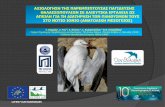 Evaluation of seabird by-catch mortality as a conservation threat in the southern Ionian Sea (Eastern Mediterranean)