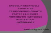 Endoglin negatively regulates transforming growth factor β1 induced
