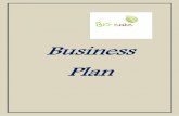 Pdf  business plan