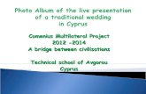Live presentation of a cypriot wedding by Αvgorou Τechnical School