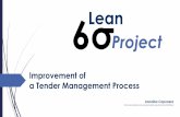 Lean Six Sigma project Caponera