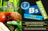 Vitamina B5 (cido Pantot©nico) T³picos Bsicos en Nutrici³n M©dica