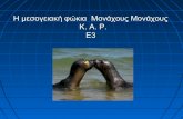 Η μεσογειακή φώκια Μονάχους Μονάχους - Τμήμα Ε3