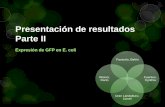 Producción de proteínsa recombinantes: Presentación de resultados (GFP)