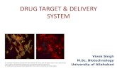 Drug target & delivery system