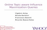 Online Topic-aware Influence Maximization Queries