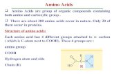 Amino acids and protein