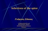 Spine infections 2009