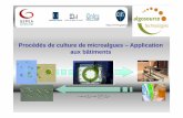 Forum Nantes ville comestible 24/01/15 : présentation de Jack Legrand (Gepea) sur la culture de micro-algues