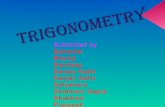 Trigonometry class10