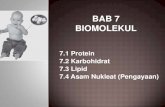 Bab 7 biomolekul