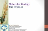 Molecular biology replication mb 05
