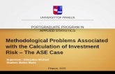 Methodological Problems Associated with the Investment Risk
