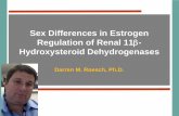 Sex Differences in Estrogen Regulation of Renal 11β-Hydroxysteroid Dehydrogenases