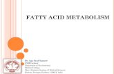 Fatty acid metabolism fam 02
